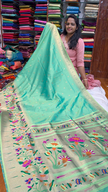 PAITHANI SAREE-B2850