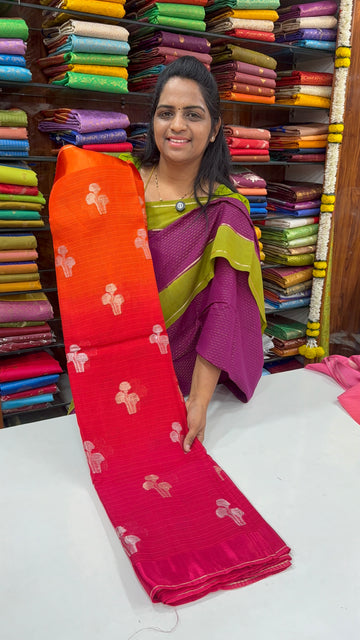 The Manipuri Kota - VA1