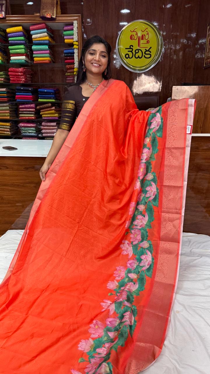 Fancy saree -CL399