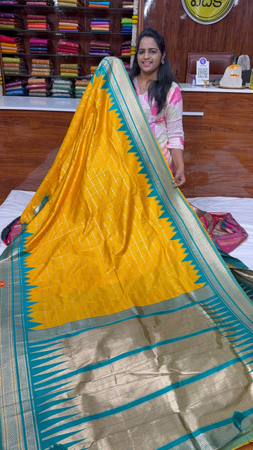 Fancy GADWAL - SD60