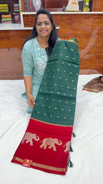 MUNGA TUSSAR-SD65