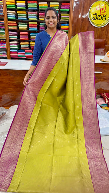 GADWAL SILK- V750