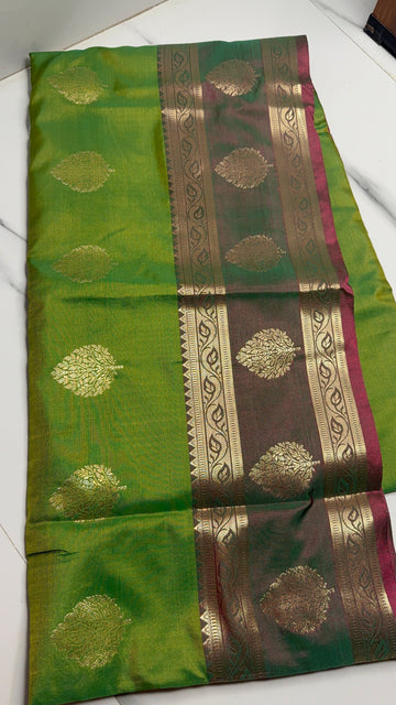 SEMI UPPADA - UP599