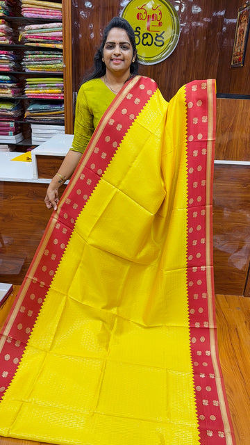 FANCY PATTU- OCT3