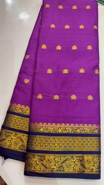 MYSORE CRAPE- July281